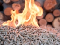 Heizen mit Biomasse: Pellets, Scheitholz und Hackgut
