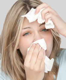 Ein Segen für alle Allergiker!